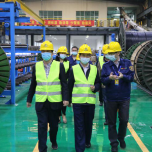 熱烈歡迎南寧市市場(chǎng)監(jiān)督管理局領(lǐng)導(dǎo)蒞臨縱覽集團(tuán)檢查指導(dǎo)工作 ...