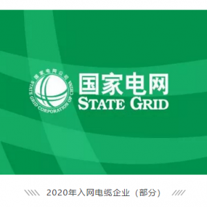 祝賀縱覽線纜集團(tuán)成功進(jìn)入國(guó)家電網(wǎng)供應(yīng)商名錄，成為廣西唯一一家進(jìn)入國(guó)網(wǎng)的電線電纜供 ...