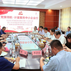 黨旗領航 結對共建共同服務經濟建設——我司黨支部與廣西市場監(jiān)管系統(tǒng)四個黨組織開展 ...