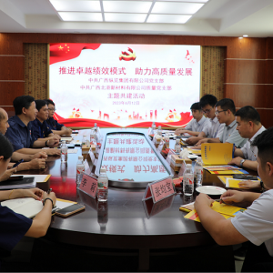 推進(jìn)卓越績(jī)效模式  助力高質(zhì)量發(fā)展 ——縱覽線纜集團(tuán)黨支部與廣西北港新材料有限公司質(zhì)量黨支部開(kāi)展主題共建活動(dòng)