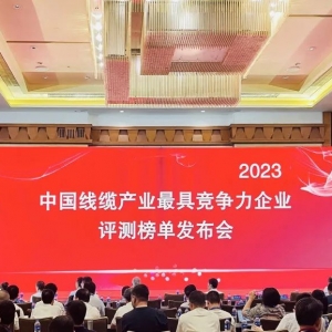 中國(guó)線纜產(chǎn)業(yè)最具競(jìng)爭(zhēng)力企業(yè)100強(qiáng)發(fā)布：縱覽線纜連續(xù)五年上榜！